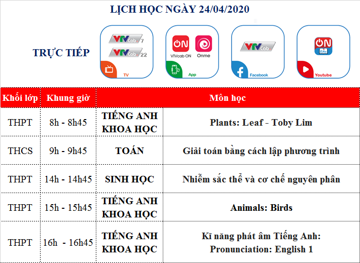 hoc truc tuyen tren vtvcab da nang